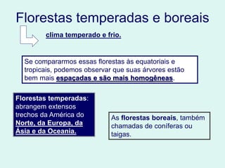 Florestas temperadas e boreais
clima temperado e frio.
Se compararmos essas florestas às equatoriais e
tropicais, podemos observar que suas árvores estão
bem mais espaçadas e são mais homogêneas.
Florestas temperadas:
abrangem extensos
trechos da América do
Norte, da Europa, da
Ásia e da Oceania.
As florestas boreais, também
chamadas de coníferas ou
taigas.
 