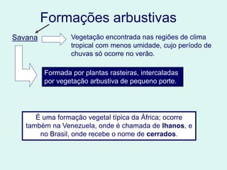 Formações arbustivas
É uma formação vegetal típica da África; ocorre
também na Venezuela, onde é chamada de lhanos, e
no Brasil, onde recebe o nome de cerrados.
Savana Vegetação encontrada nas regiões de clima
tropical com menos umidade, cujo período de
chuvas só ocorre no verão.
Formada por plantas rasteiras, intercaladas
por vegetação arbustiva de pequeno porte.
 