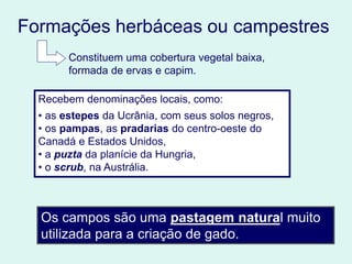 Formações herbáceas ou campestres
Recebem denominações locais, como:
• as estepes da Ucrânia, com seus solos negros,
• os pampas, as pradarias do centro-oeste do
Canadá e Estados Unidos,
• a puzta da planície da Hungria,
• o scrub, na Austrália.
Constituem uma cobertura vegetal baixa,
formada de ervas e capim.
Os campos são uma pastagem natural muito
utilizada para a criação de gado.
 