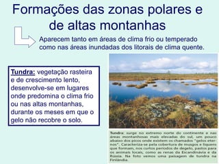 Formações das zonas polares e
de altas montanhas
Tundra: vegetação rasteira
e de crescimento lento,
desenvolve-se em lugares
onde predomina o clima frio
ou nas altas montanhas,
durante os meses em que o
gelo não recobre o solo.
Aparecem tanto em áreas de clima frio ou temperado
como nas áreas inundadas dos litorais de clima quente.
 