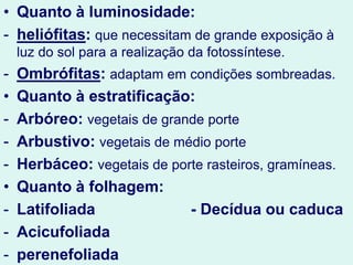 • Quanto à luminosidade:
- heliófitas: que necessitam de grande exposição à
luz do sol para a realização da fotossíntese.
- Ombrófitas: adaptam em condições sombreadas.
• Quanto à estratificação:
- Arbóreo: vegetais de grande porte
- Arbustivo: vegetais de médio porte
- Herbáceo: vegetais de porte rasteiros, gramíneas.
• Quanto à folhagem:
- Latifoliada - Decídua ou caduca
- Acicufoliada
- perenefoliada
 