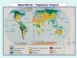 Mapa-Múndi – Vegetação Original
 