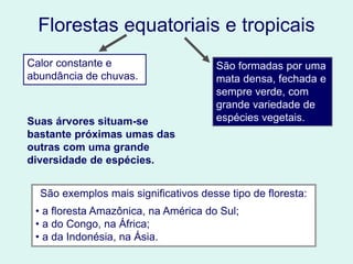 Florestas equatoriais e tropicais
São exemplos mais significativos desse tipo de floresta:
• a floresta Amazônica, na América do Sul;
• a do Congo, na África;
• a da Indonésia, na Ásia.
Calor constante e
abundância de chuvas.
São formadas por uma
mata densa, fechada e
sempre verde, com
grande variedade de
espécies vegetais.Suas árvores situam-se
bastante próximas umas das
outras com uma grande
diversidade de espécies.
 