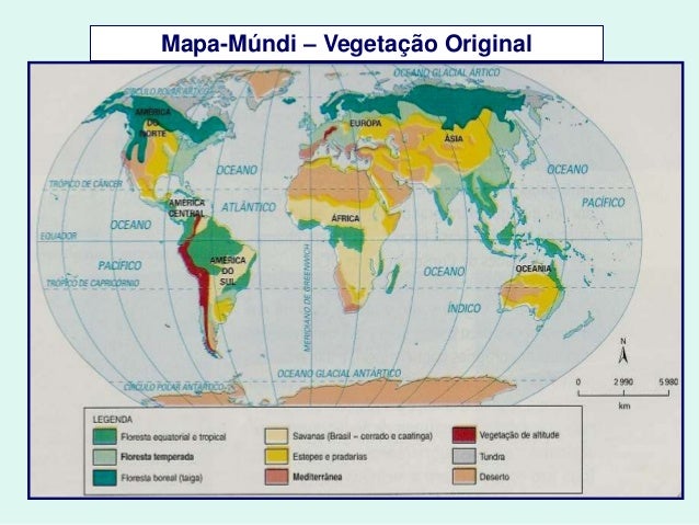 As formaçoes vegetais pelo mundo As formaçoes vegetais pelo mundo