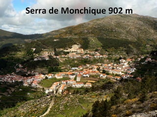 Serra de Monchique 902 m 