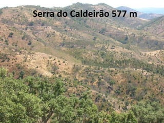 Serra do Caldeirão 577 m 