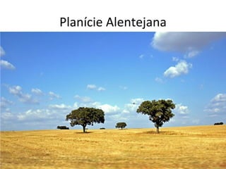 Planície Alentejana 