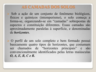 AS CAMADAS DOS SOLOS


Sob a ação de um conjunto de fenômeno biológicos,
físicos e químicos (intemperismo), o solo começa a
forma-se, organizando-se em “camadas” sobrepostas de
aspectos e constituição diferentes. Essas camadas são
aproximadamente paralelas à superfície, e denominadas
de horizontes.



O perfil de um solo completo e bem formado possui
basicamente quatro tipos de horizontes, que costumam
ser chamados de “horizontes principais” e são
convencionalmente identificados pelas letras maiúsculas
O, A, E, B, C e R.

 