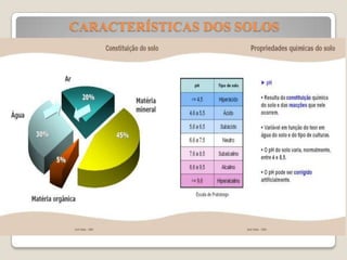 CARACTERÍSTICAS DOS SOLOS

 