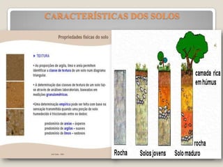 CARACTERÍSTICAS DOS SOLOS

 