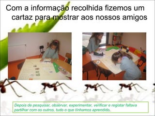 Com a informação recolhida fizemos um
 cartaz para mostrar aos nossos amigos




  Depois de pesquisar, observar, experimentar, verificar e registar faltava
  partilhar com os outros, tudo o que tínhamos aprendido.
 
