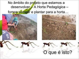No âmbito do projeto que estamos a
  desenvolver – A Horta Pedagógica –
fomos semear e plantar para a horta…




                     O que é isto?
 