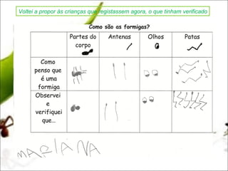 Voltei a propor às crianças que registassem agora, o que tinham verificado




                               E concluímos…
 