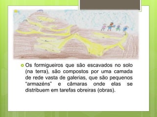  Os formigueiros que são escavados no solo
(na terra), são compostos por uma camada
de rede vasta de galerias, que são pequenos
“armazéns” e câmaras onde elas se
distribuem em tarefas obreiras (obras).
 