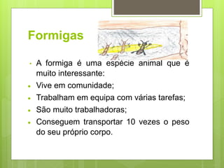 Formigas
• A formiga é uma espécie animal que é
muito interessante:
 Vive em comunidade;
 Trabalham em equipa com várias tarefas;
 São muito trabalhadoras;
 Conseguem transportar 10 vezes o peso
do seu próprio corpo.
 