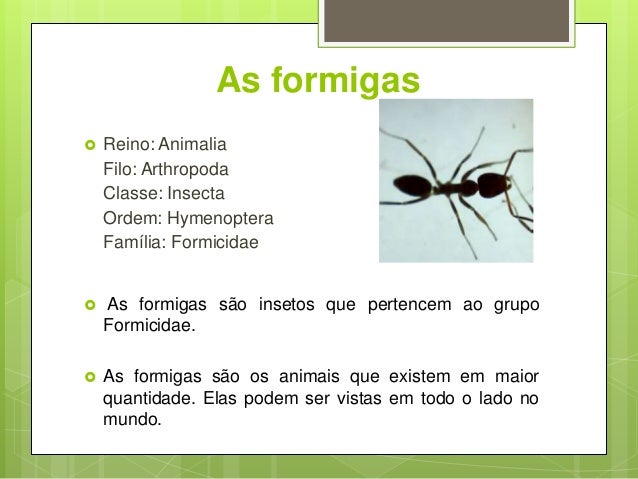 As formigas