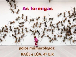 As formigas
polos mirmecólogos:
RAÚL e LÚA, 4º E.P.
 