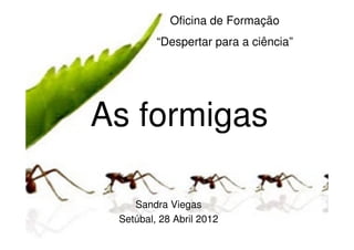 Oficina de Formação
         “Despertar para a ciência”




As formigas

    Sandra Viegas
 Setúbal, 28 Abril 2012
 