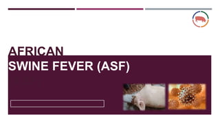 AFRICAN
SWINE FEVER (ASF)
(ASF)
 