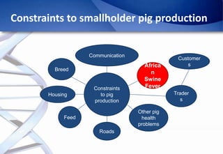 Epidemiology of African Swine Fever: A prerequisite to control
