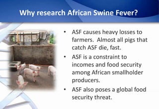 Epidemiology of African Swine Fever: A prerequisite to control