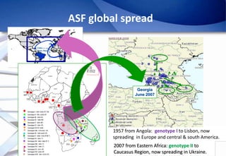 Epidemiology of African Swine Fever: A prerequisite to control