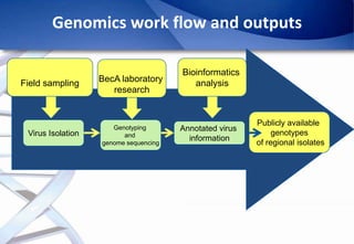 Epidemiology of African Swine Fever: A prerequisite to control