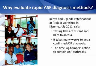 Epidemiology of African Swine Fever: A prerequisite to control
