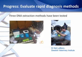 Epidemiology of African Swine Fever: A prerequisite to control