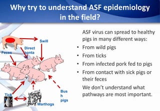 Epidemiology of African Swine Fever: A prerequisite to control
