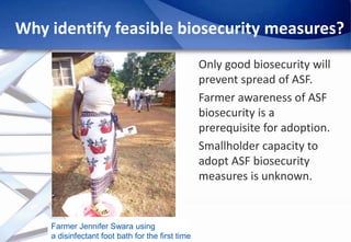 Epidemiology of African Swine Fever: A prerequisite to control