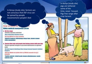 Epidemiology of African Swine Fever: A prerequisite to control
