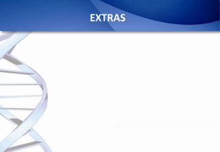 Epidemiology of African Swine Fever: A prerequisite to control