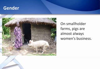 Epidemiology of African Swine Fever: A prerequisite to control