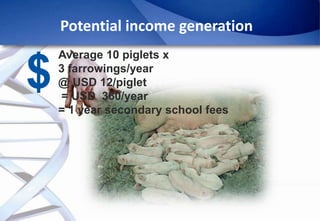 Epidemiology of African Swine Fever: A prerequisite to control