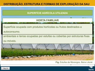 Fig. Pastagens, Alentejo.
Fig. Horta familiar, Aljezur.
Fig. Olival, Alentejo.
Fig. Estufas de Morangos, Beira Litoral.
Pág. 22
SUPERFÍCIE AGRÍCOLA UTILIZADA
TERRAS ARÁVEIS
DISTRIBUIÇÃO, ESTRUTURA E FORMAS DE EXPLORAÇÃO DA SAU
Terras cultivadas destinadas à produção vegetal, terras retiradas da
produção, terras que sejam mantidas em boas condições agrícolas e
ambientais e terras ocupadas por estufas ou cobertas por estruturas fixas
ou móveis.
PASTAGENS PERMANENTES
Áreas onde são semeadas espécies por um período superior a cinco anos,
destinadas ao pasto de gado.
CULTURAS PERMANENTES
Ocupam o solo durante um longo período e fornecem repetidas colheitas,
como um olival, uma vinha, um pomar.
HORTA FAMILIAR
Superfície ocupada com produtos hortícolas ou frutos destinados a
autoconsumo.
 