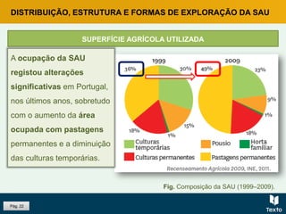 Pág. 22
DISTRIBUIÇÃO, ESTRUTURA E FORMAS DE EXPLORAÇÃO DA SAU
SUPERFÍCIE AGRÍCOLA UTILIZADA
A ocupação da SAU
registou alterações
significativas em Portugal,
nos últimos anos, sobretudo
com o aumento da área
ocupada com pastagens
permanentes e a diminuição
das culturas temporárias.
Fig. Composição da SAU (1999–2009).
 