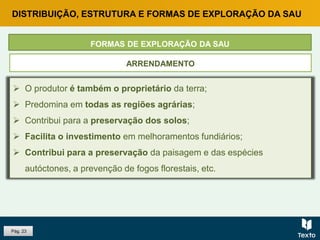  O produtor paga um valor ao proprietário da terra pela sua utilização;
 É mais comum nos Açores;
 Pode contribuir para acentuar o esgotamento dos solos, pois o
produtor procura tirar o máximo proveito durante o contrato;
 Evita o abandono das terras e, nesse sentido, também contribui para
a preservação da paisagem e para a prevenção de fogos.
Pág. 23
DISTRIBUIÇÃO, ESTRUTURA E FORMAS DE EXPLORAÇÃO DA SAU
FORMAS DE EXPLORAÇÃO DA SAU
 O produtor é também o proprietário da terra;
 Predomina em todas as regiões agrárias;
 Contribui para a preservação dos solos;
 Facilita o investimento em melhoramentos fundiários;
 Contribui para a preservação da paisagem e das espécies
autóctones, a prevenção de fogos florestais, etc.
CONTA PRÓPRIAARRENDAMENTO
 