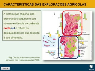 Pág. 24
CARACTERÍSTICAS DAS EXPLORAÇÕES AGRÍCOLAS
A distribuição regional das
explorações segundo o seu
número evidencia o contraste
norte-sul e reflete as
desigualdades no que respeita
à sua dimensão.
Fig. Distribuição das explorações
agrícolas nas regiões agrárias 2009.
 