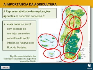 A IMPORTÂNCIA DA AGRICULTURA
Pág. 13
Fig. Representatividade das
explorações agrícolas na superfície
concelhia (2009).
 Mais elevada no
Alentejo e em muitos
concelhos do interior e
da R. A. dos Açores.
A Representatividade das explorações
agrícolas na superfície concelhia é:
 mais baixa no litoral,
com exceção do
Alentejo, em muitos
concelhos do centro
interior, no Algarve e na
R. A. da Madeira.
 
