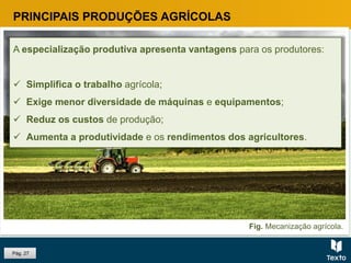 Pág. 27
PRINCIPAIS PRODUÇÕES AGRÍCOLAS
A especialização produtiva apresenta vantagens para os produtores:
 Simplifica o trabalho agrícola;
 Exige menor diversidade de máquinas e equipamentos;
 Reduz os custos de produção;
 Aumenta a produtividade e os rendimentos dos agricultores.
Fig. Mecanização agrícola.
 