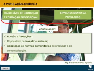 Pág. 31
A POPULAÇÃO AGRÍCOLA
 Adesão a inovações;
 Capacidade de investir e arriscar;
 Adaptação às normas comunitárias de produção e de
comercialização.
BAIXO NÍVEL DE INSTRUÇÃO
E FORMAÇÃO PROFISSIONAL
ENVELHECIMENTO DA
POPULAÇÃO
condicionam:
Fig. Envelhecimento agrícola.
 