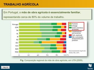 Pág. 32
TRABALHO AGRÍCOLA
Em Portugal, a mão de obra agrícola é essencialmente familiar,
representando cerca de 80% do volume de trabalho.
Fig. Composição regional da mão de obra agrícola, em UTA (2009).
 