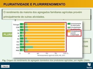 Pág. 33
PLURIATIVIDADE E PLURIRRENDIMENTO
Prática, em simultâneo, do trabalho na agricultura e noutras
atividades – surge como alternativa para complementar o
rendimento proveniente da agricultura.
PLURIATIVIDADE
PLURIRRENDIMENTO
Acumulação dos rendimentos provenientes da agricultura com
os de outras atividades, contribui para reduzir o abandono nas
áreas rurais.
O rendimento da maioria dos agregados familiares agrícolas provém
principalmente de outras atividades.
Fig. Origem do rendimento do agregado doméstico dos produtores agrícolas, por região (2009).
 