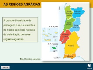 AS REGIÕES AGRÁRIAS
Pág. 14
A grande diversidade de
paisagens rurais existentes
no nosso país está na base
da delimitação de nove
regiões agrárias.
Fig. Regiões agrárias.
 