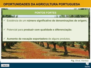 Fig. Olival, Alentejo.
OPORTUNIDADES DA AGRICULTURA PORTUGUESA
 Existência de um número significativo de denominações de origem;
 Potencial para produzir com qualidade e diferenciação;
 Aumento da vocação exportadora de alguns produtos.
PONTOS FORTES
Pág. 34
 