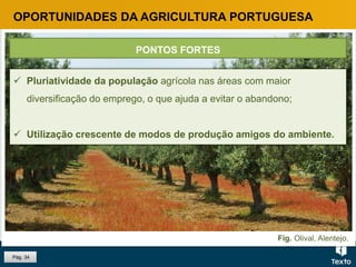 Fig. Olival, Alentejo.
OPORTUNIDADES DA AGRICULTURA PORTUGUESA
 Pluriatividade da população agrícola nas áreas com maior
diversificação do emprego, o que ajuda a evitar o abandono;
 Utilização crescente de modos de produção amigos do ambiente.
PONTOS FORTES
Pág. 34
 