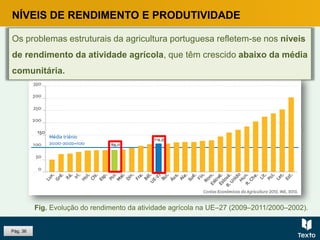 Pág. 36
NÍVEIS DE RENDIMENTO E PRODUTIVIDADE
Os problemas estruturais da agricultura portuguesa refletem-se nos níveis
de rendimento da atividade agrícola, que têm crescido abaixo da média
comunitária.
Fig. Evolução do rendimento da atividade agrícola na UE–27 (2009–2011/2000–2002).
 