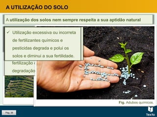 Fig. Vinhas do Douro.
Pág. 38
A UTILIZAÇÃO DO SOLO
A utilização dos solos nem sempre respeita a sua aptidão natural
Fig. Controle das culturas numa estufa.
 A prática da monocultura conduz ao empobrecimento e esgotamento de
determinados nutrientes do solo essenciais ao desenvolvimento das
culturas.
Fig. Trator a semear.
 A ausência de estudos do solo que
permitam o ajustamento entre a
aptidão e o seu uso e que
suportem as decisões de
fertilização contribui para a sua
degradação.
Fig. Adubos químicos.
 A excessiva mobilização dos solos,
sobretudo a utilização de máquinas
pesadas, contribui para a sua
compactação.
 Utilização excessiva ou incorreta
de fertilizantes químicos e
pesticidas degrada e polui os
solos e diminui a sua fertilidade.
 