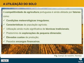 Fig. Campo de restolho, Alentejo.
Pág. 39
A UTILIZAÇÃO DO SOLO
A competitividade da agricultura portuguesa é ainda afetada por fatores
como:
 Condições meteorológicas irregulares;
 Características da população agrícola;
 Utilização ainda muito significativa de técnicas tradicionais;
 Predomínio de explorações de pequena dimensão;
 Elevados custos de produção;
 Pesados encargos financeiros.
 